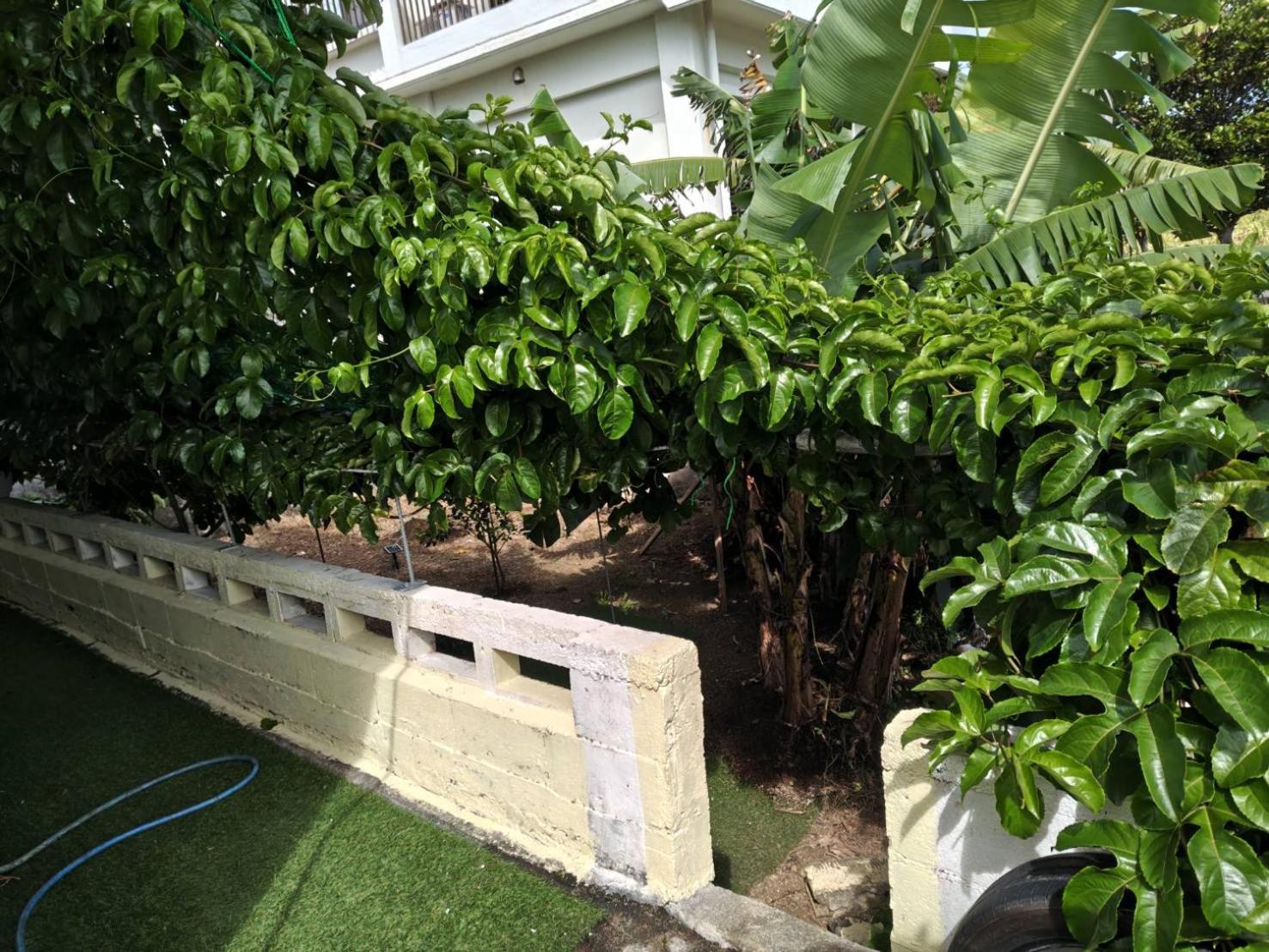 宮古島ゲストハウス　マウイ Miyakojima  Exterior photo